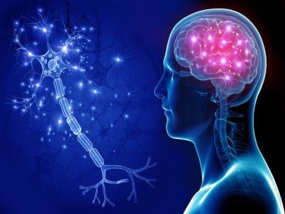 neuroscience