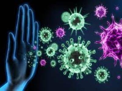 international conference on infection prevention and control
