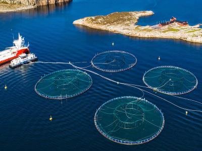 international conference on fisheries and aquaculture