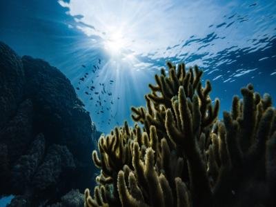 oceanscience